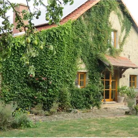 Haus Falkenhof Knüllwald Dış mekan fotoğraf